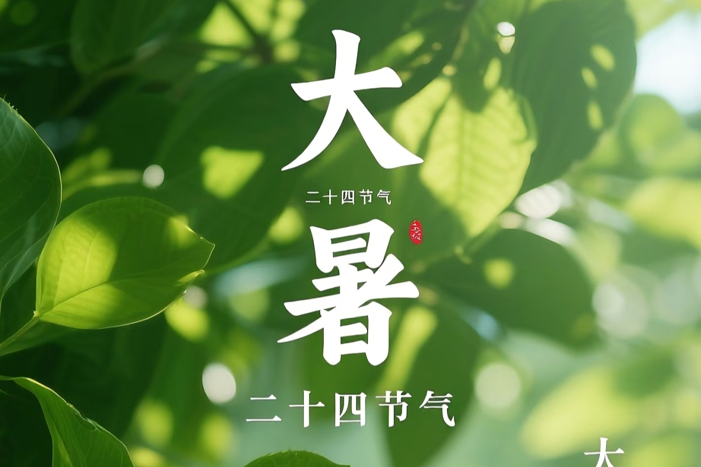 二十四节气·大暑 感受盛夏最浓时